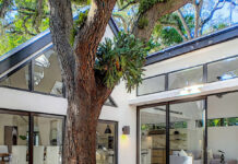 Tree Services, Storm Resilience