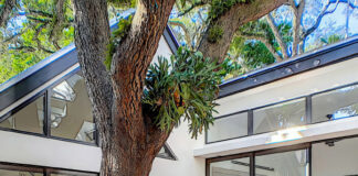 Tree Services, Storm Resilience