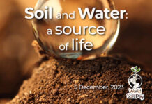World Soil Day