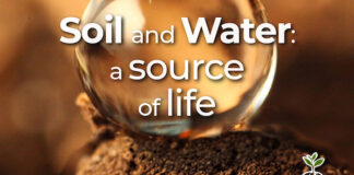 World Soil Day