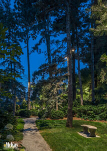 Landscape Lighting