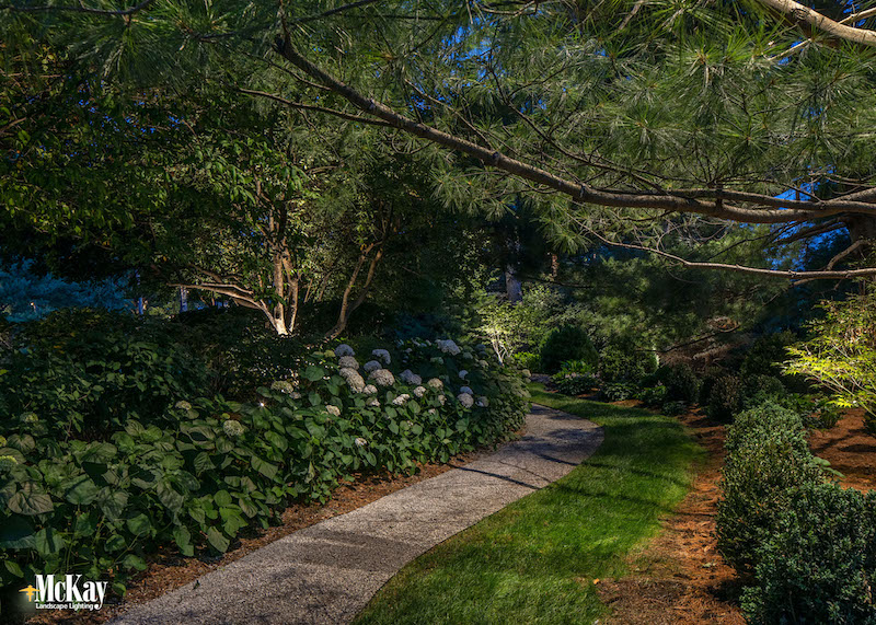 Lighting Landscape
