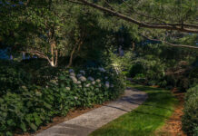 McKay Landscape Lighting