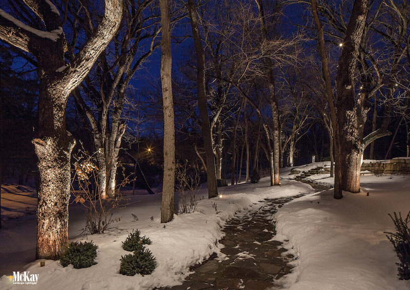 Landscape Lighting