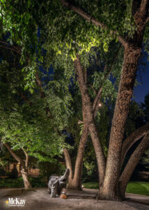 Landscape Lighting