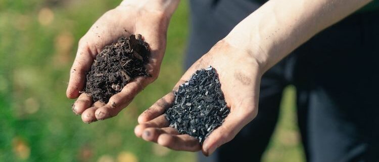 Davey biochar