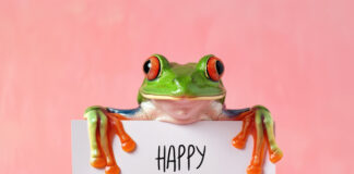 Leap Day