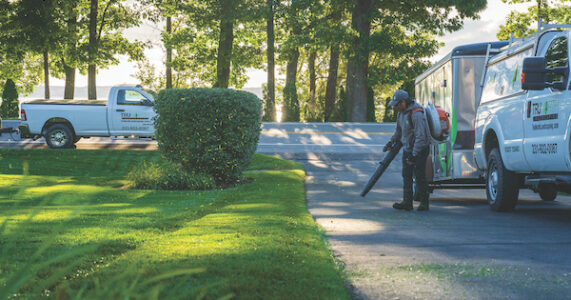 Lawn Care