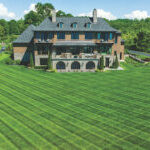 turfgrass