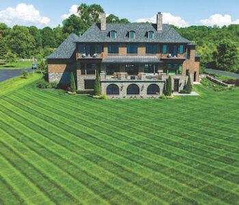 TruNorth Landscaping