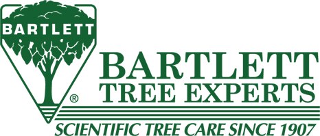 Bartlett Jr