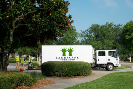 NALP field trip events