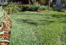 Spring Lawn