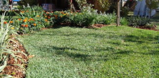 Spring Lawn