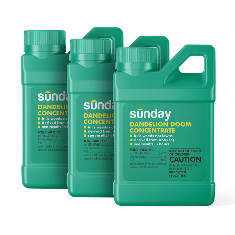 dandelion doom concentrate