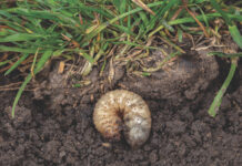 grub control