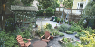 Permaculture