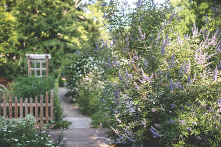 Shades of Green Permaculture
