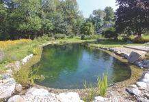 Natural Swimming Pools & Ponds