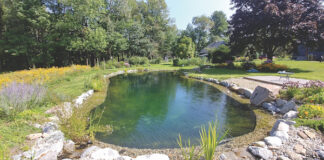 Natural Swimming Pools & Ponds