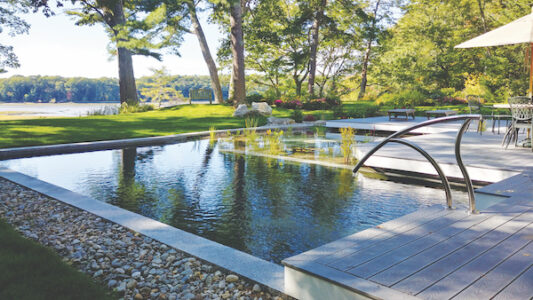 Natural Swimming Pool