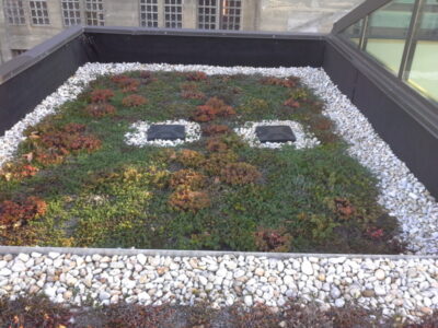 Green Roof Installation