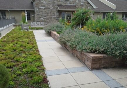 Green Roof Installation