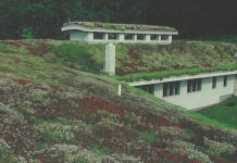 Green Roof Installation