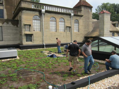 Green Roof Installation