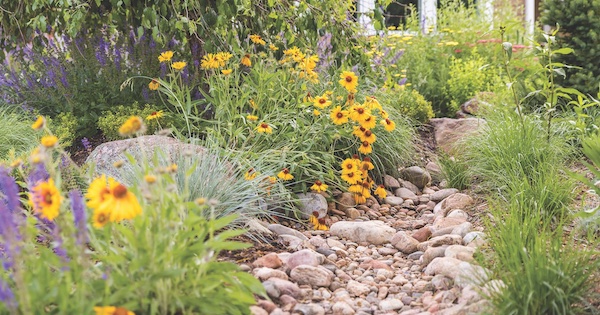 water conservation