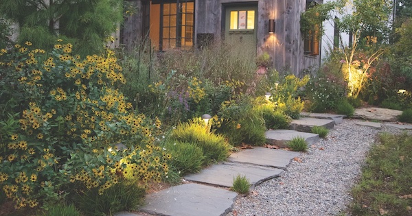 landscape design-build, lawn alternatives