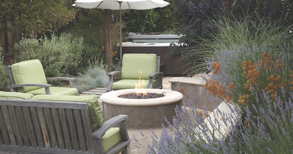 Hydrozone Landscape Plants