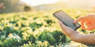 Smart Irrigation