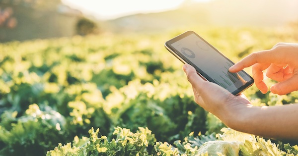 Smart Irrigation