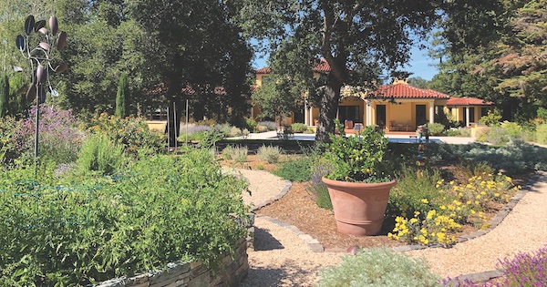 Hydrozone Landscape Plants