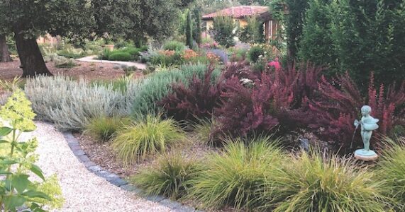 Hydrozone Landscape Plants