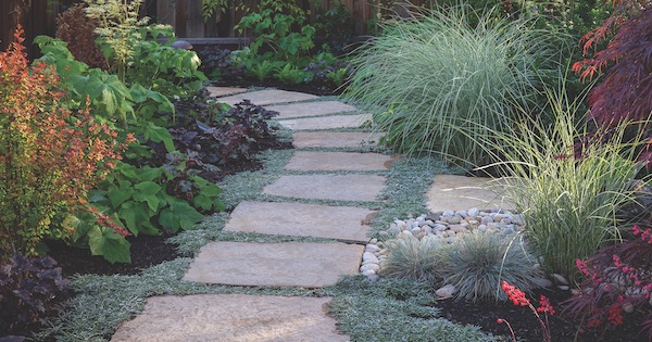 Hydrozone Landscape Plants