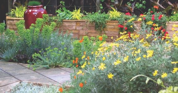 Hydrozone Landscape Plants