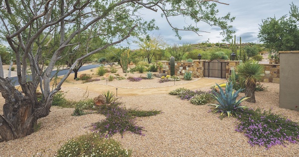 Desert Foothills Landscape