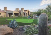 Desert Foothills Landscape