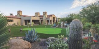 Desert Foothills Landscape