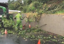 Firewise Landscaping