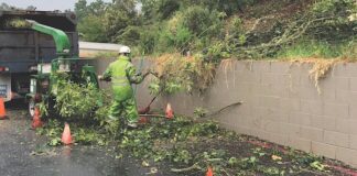 Firewise Landscaping