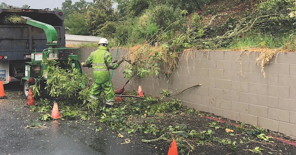 Firewise Landscaping