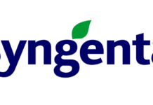 Syngenta SummerPay